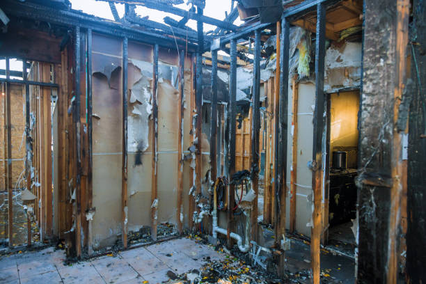 Professional Fire Damage Removal technician working in Saint Davids, PA